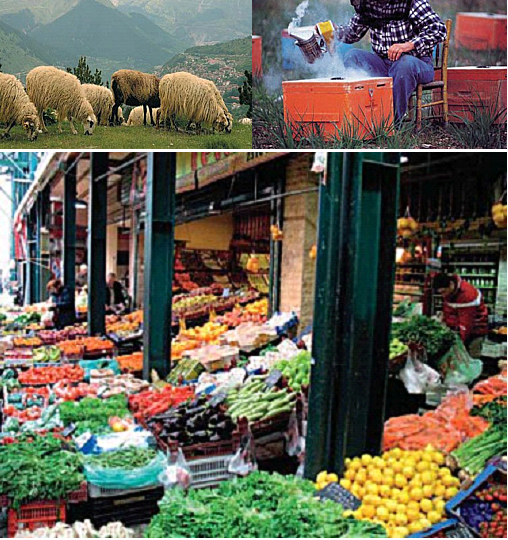 :  Αγροτικές Κινητοποιήσεις και Διαχρονικά Προβλήματα του Πρωτογενή Τομέα